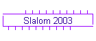 Slalom 2003